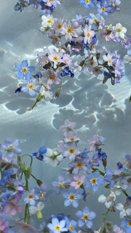 Free White and Purple Flowers on White Textile Stock Photo
