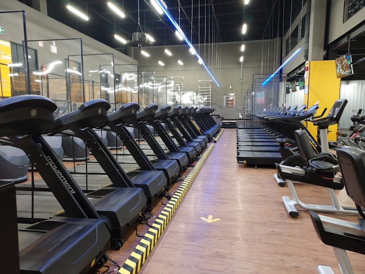 Treadmills At Gym