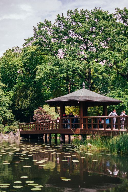 Free A peaceful garden scene with a wooden pavilion over a pond adorned with lily pads. Stock Photo