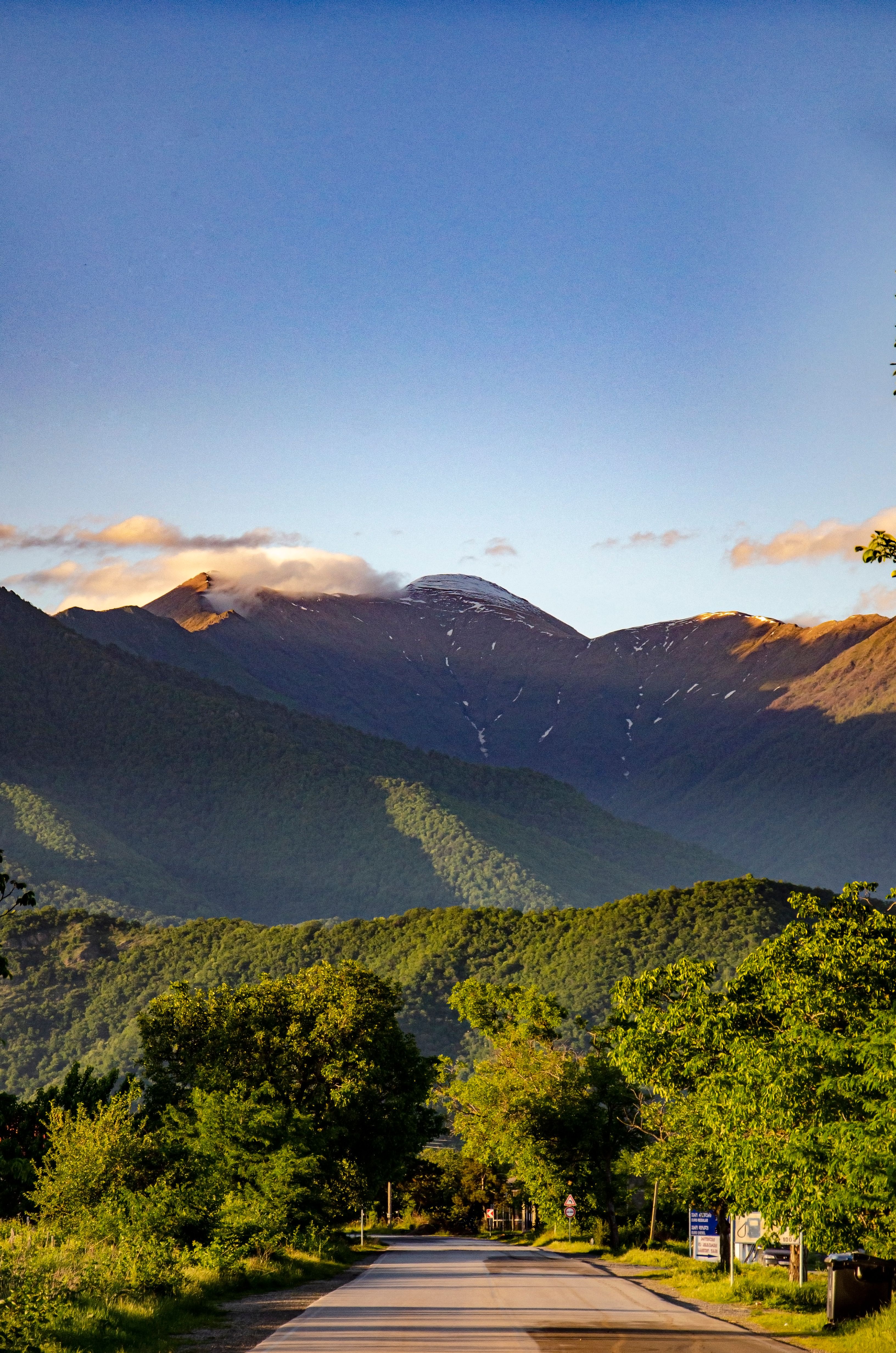 Green Trees and Mountains Under Blue Sky · Free Stock Photo