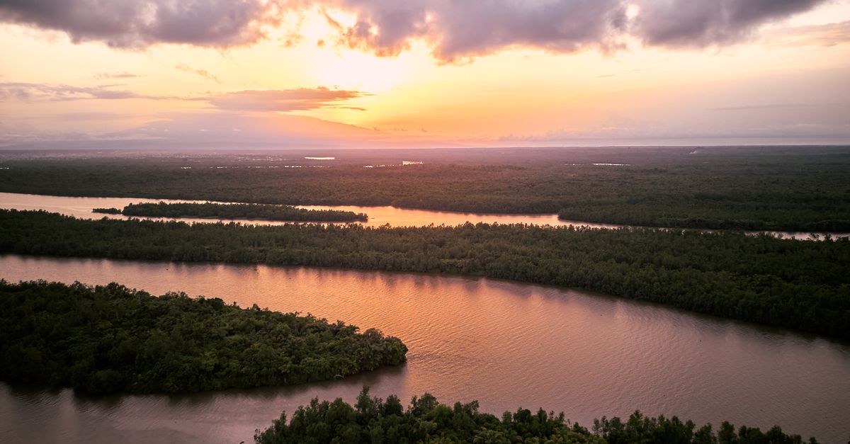 Photo of Suriname