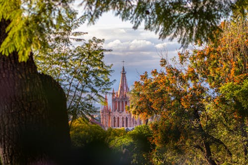 Kostnadsfri bild av kyrka