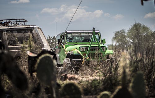 Kostnadsfri bild av all terrängfordon, jeep