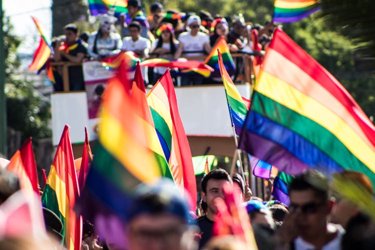 Crowd Raising Holding Rainbow Flags