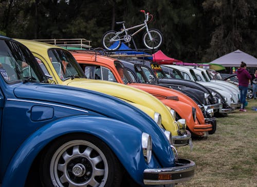 Kostnadsfri bild av bubbla, vw beetle