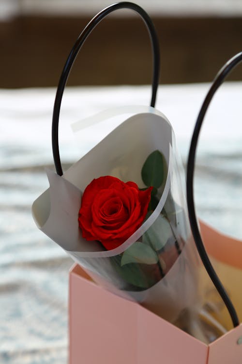 Beautiful Red Rose in Pink Paper Bag