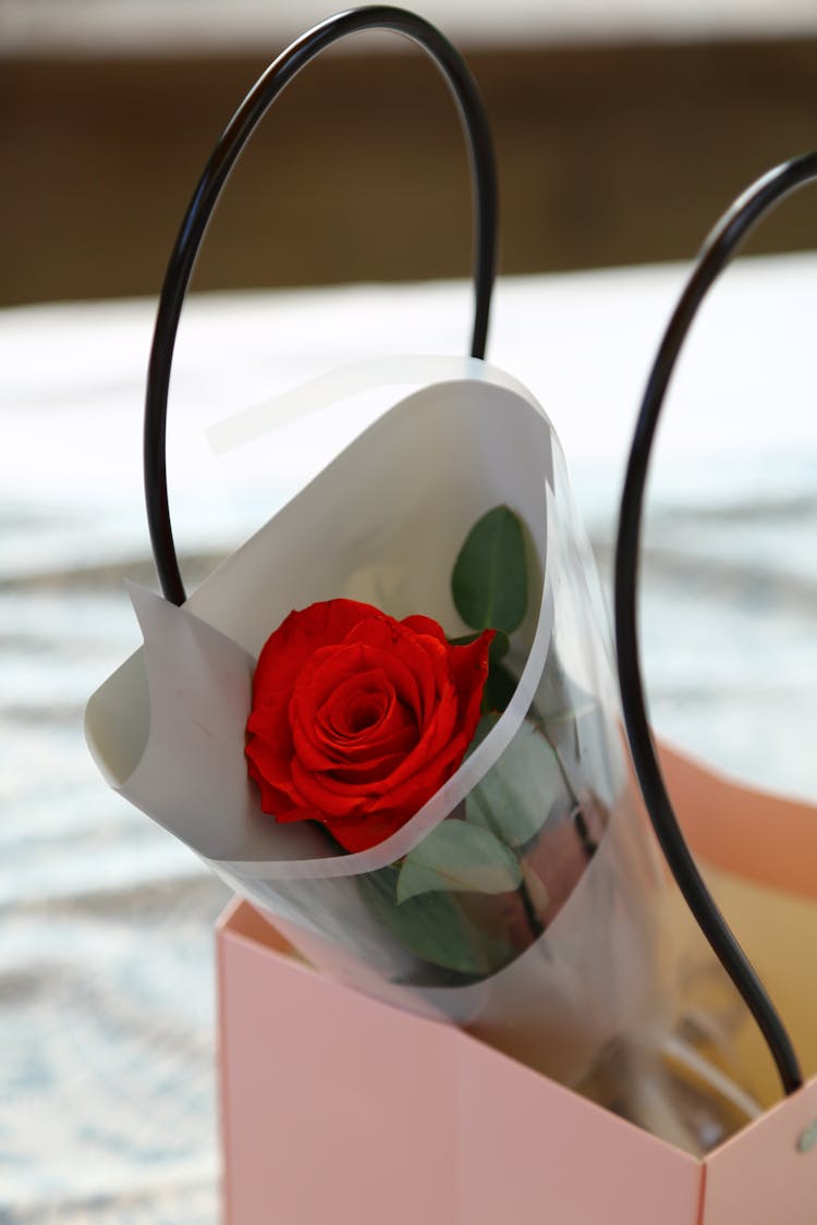 Rose In Gift Bag