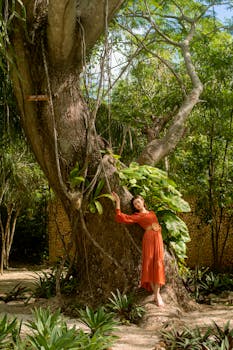 A woman in a red dress embraces a large tree in a lush forest setting in Mérida, Mexico.