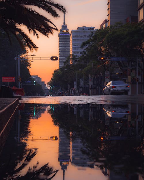 torre latinoamericana, 反射, 地標 的 免費圖庫相片