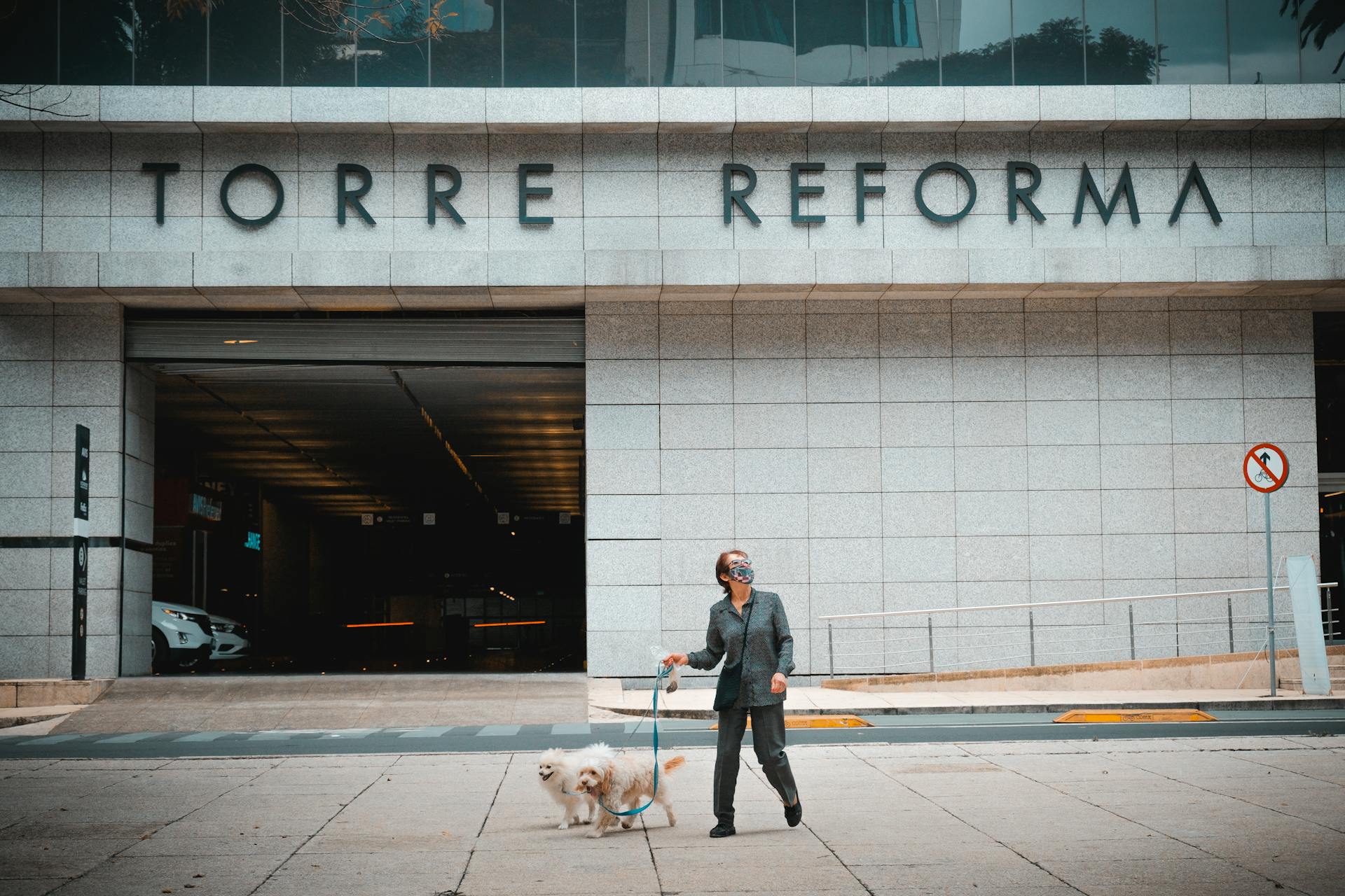 Une femme promène ses chiens