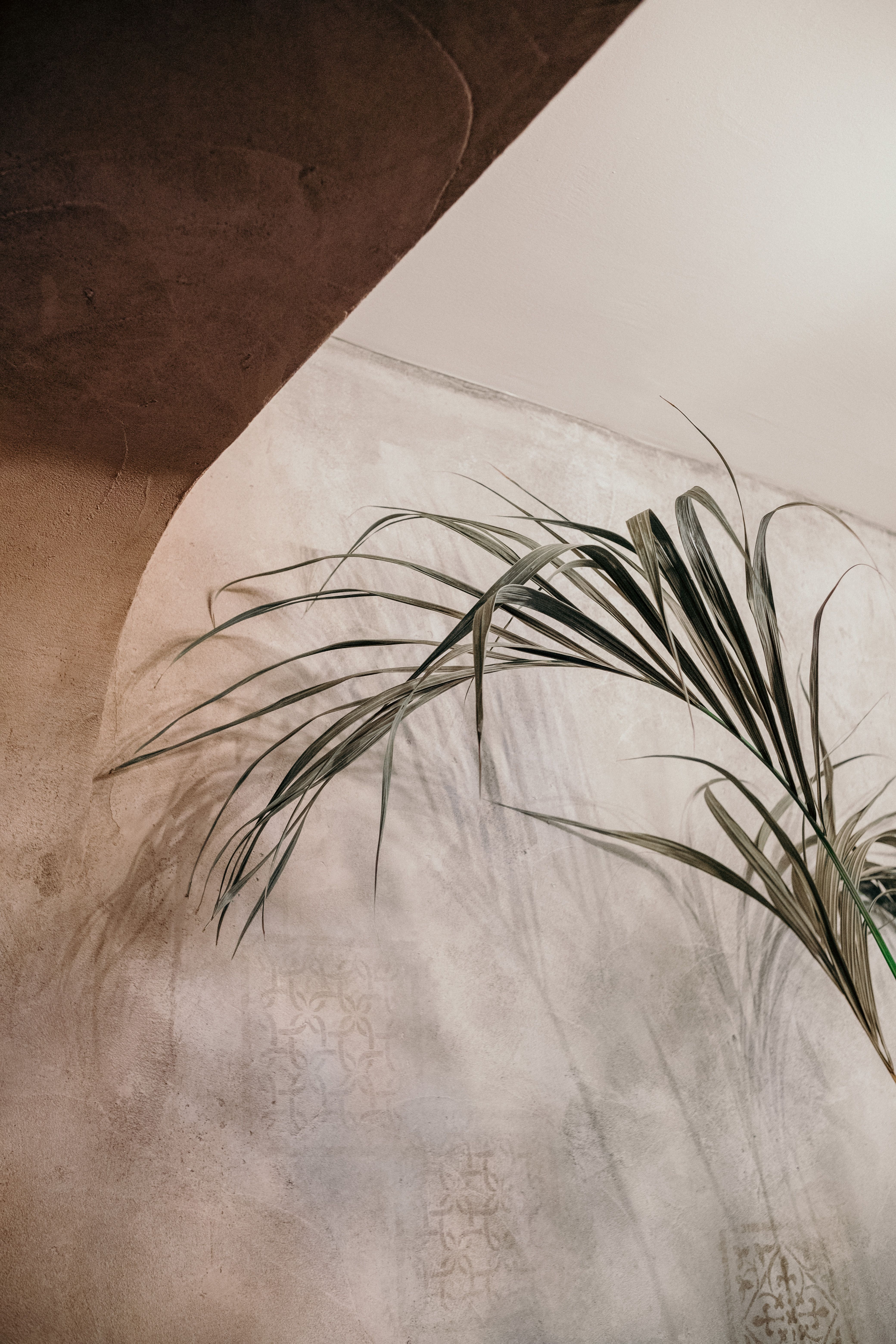 A minimalist interior with palm leaf shadows casting on a textured wall, highlighting natural decor.