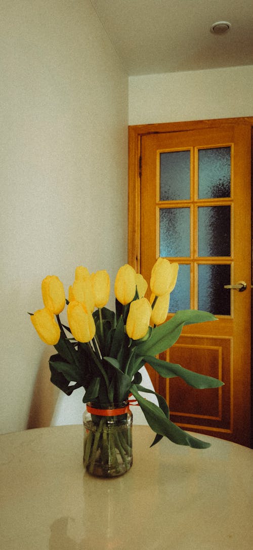 Free A Yellow Tulips with Green Leaves on a Clear Glass Vase Stock Photo