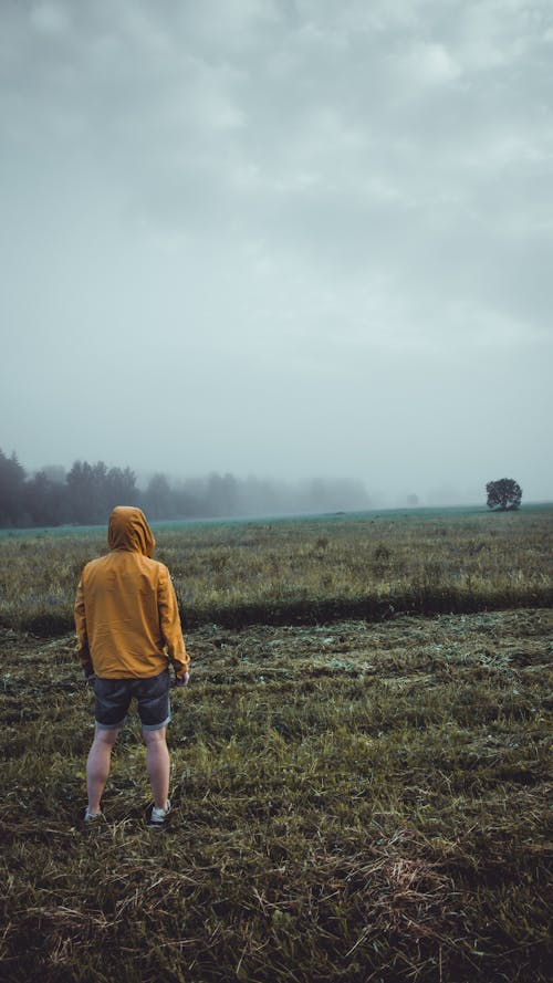 Foto profissional grátis de ao ar livre, campo, campo de grama