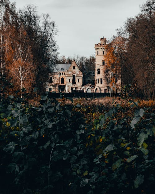 Foto profissional grátis de abandonado, árvores, castelo