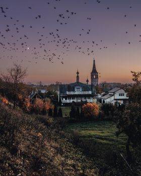 Serene village at dusk with silhouetted church and flock of birds flying in twilight sky.