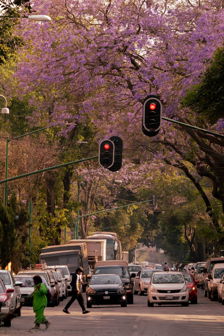 Cars Stop At A Traffic Lights