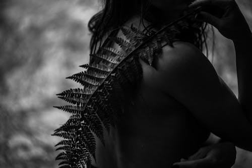 Grayscale Photo of a Woman Holding Fern Leaves
