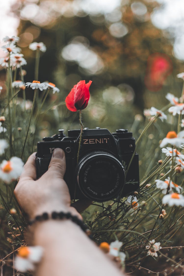 Hand Holding Zenit Camera