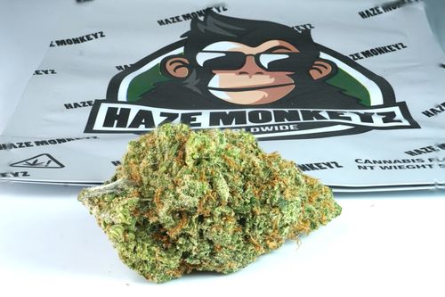 Free Haze Stock Photo