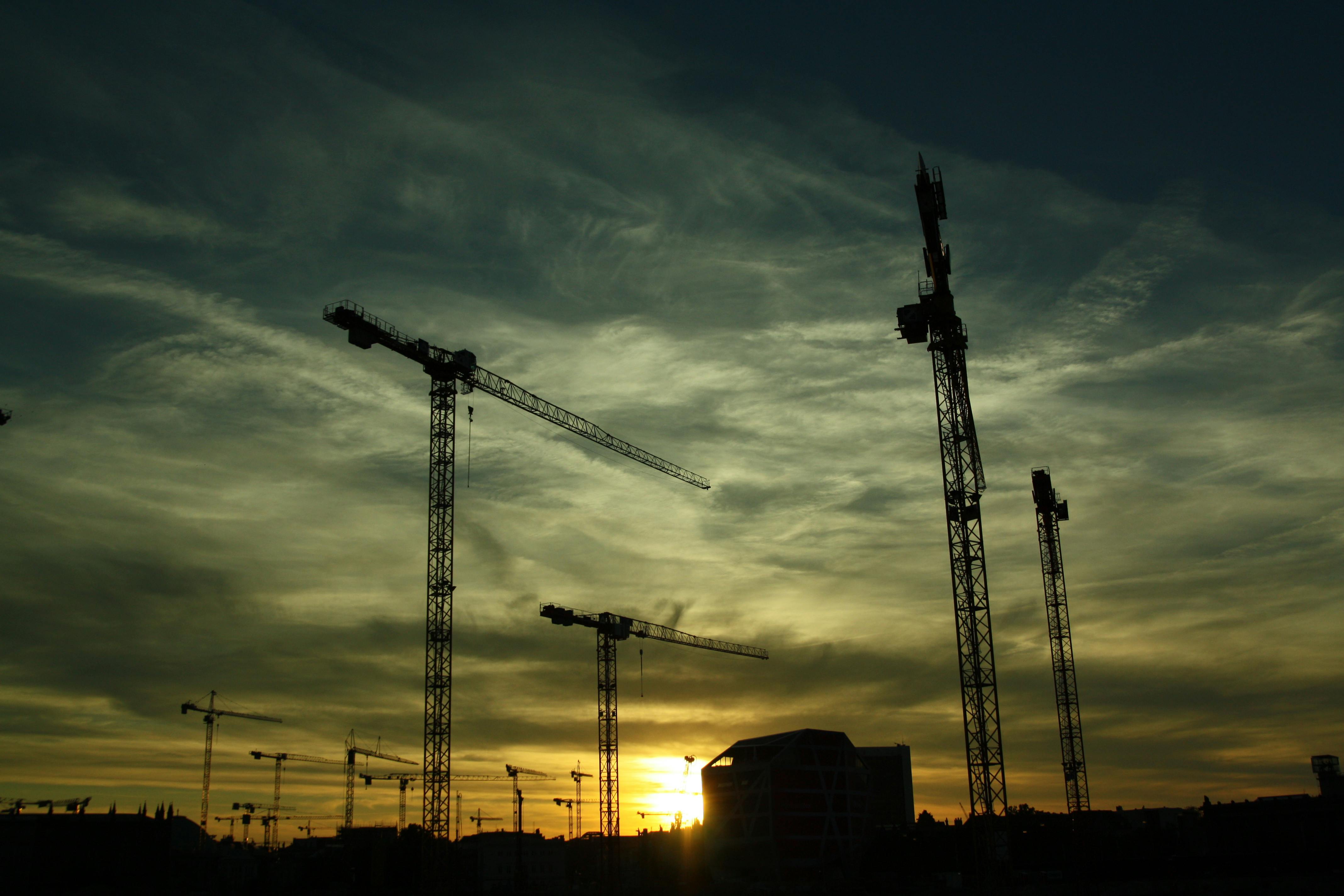 silhouette photography of cranes