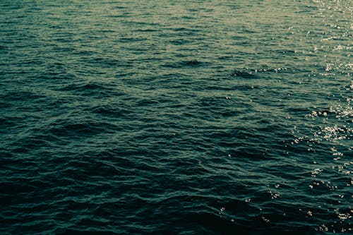 シースケープ, 地平線, 水域の無料の写真素材