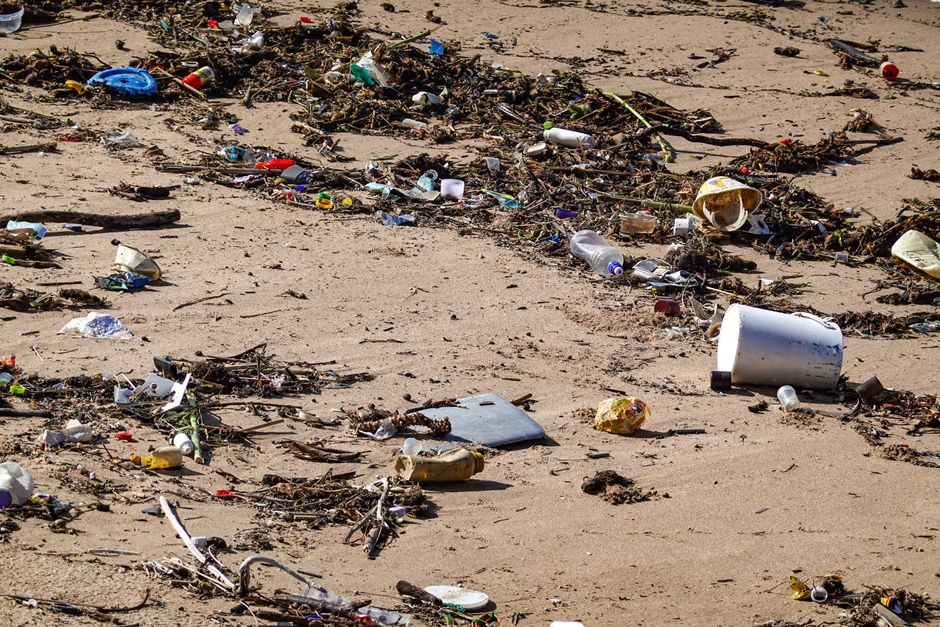 Capital's Waste Poisons UK Coasts, Decimates Marine Life