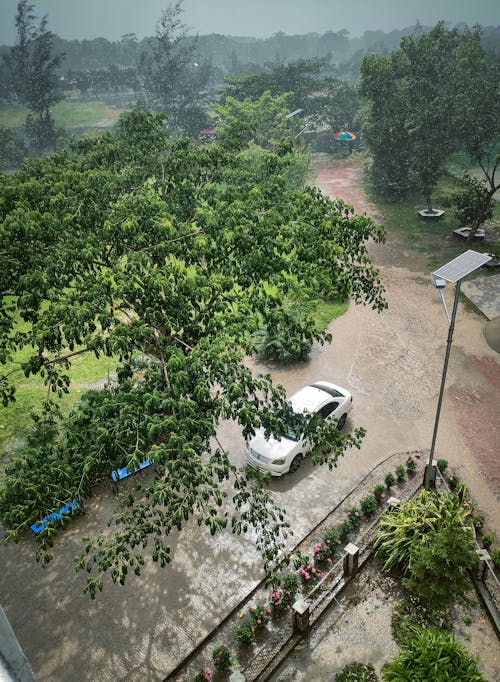 Foto d'estoc gratuïta de bangladesh, dia plujós, pluja