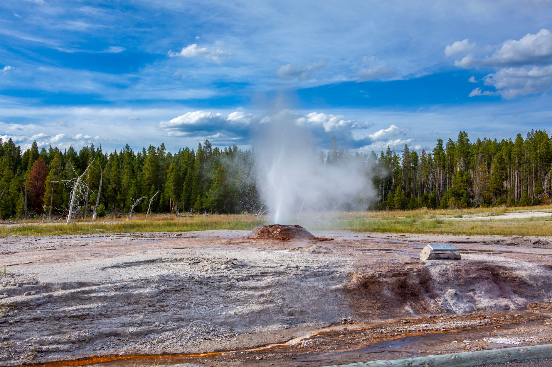Yellowstone National Park photo 6