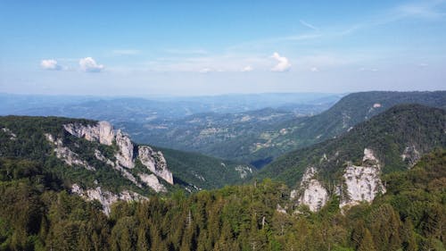 Aerial View of Rocky Mountains and Coniferous Forest