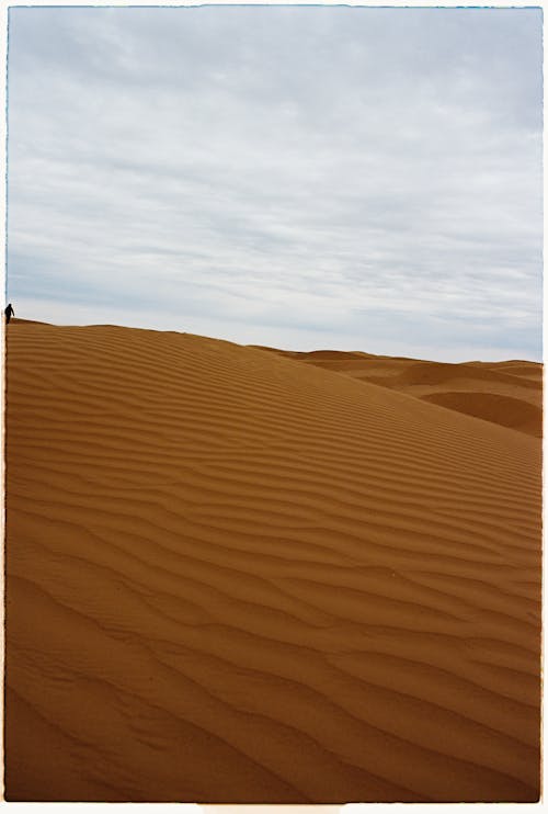 Fotos de stock gratuitas de árido, atractivo, Desierto