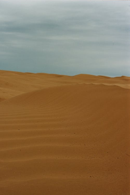 Imagine de stoc gratuită din deșert, fotografie peisaj, fotografiere verticală