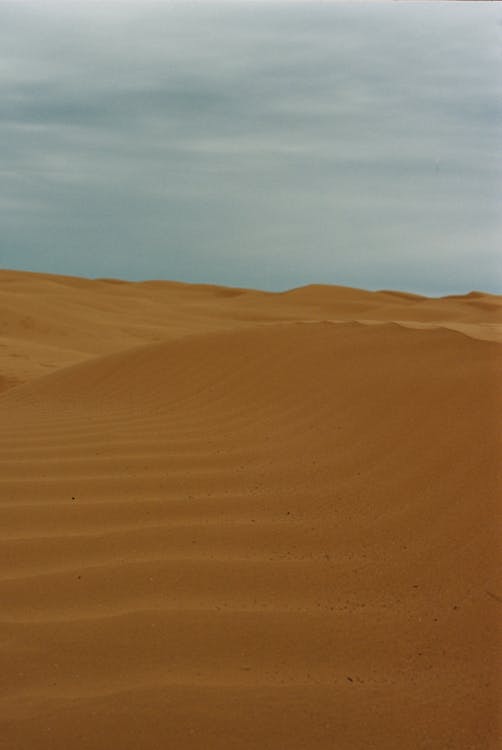 A Desert Landscape