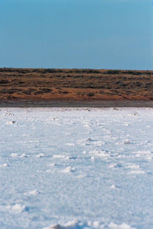 Bezpłatne Darmowe zdjęcie z galerii z lód, natura, pionowy strzał Zdjęcie z galerii