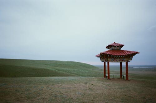 Kostenloses Stock Foto zu bedeckt, hügel, landschaft