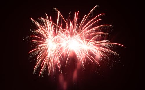 Free Bright pink fireworks illuminating the night sky during a festive celebration. Stock Photo