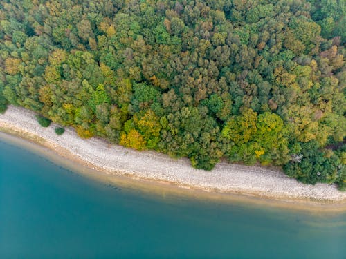 Imagine de stoc gratuită din copaci verzi, faleză, fotografie aeriană