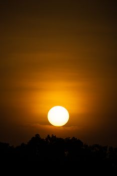 Beautiful golden sunset with a clear view of the sun above silhouetted trees.