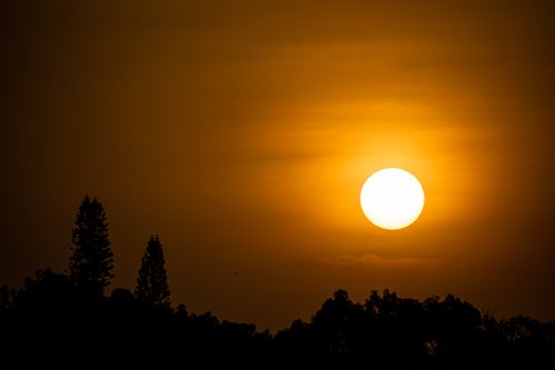 Free Stunning sunset with golden hues and tree silhouettes creating a serene landscape. Stock Photo