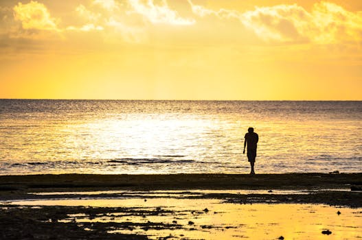 A person stands on the beach silhouetted against a golden sunset over the ocean.