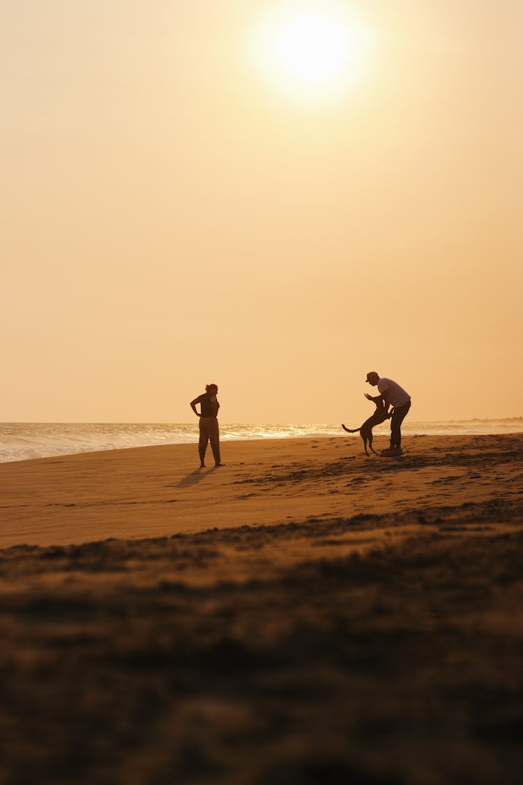 People Playing With Dog On Beach
