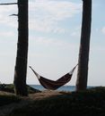 Hangmat tussen bomen op vakantie