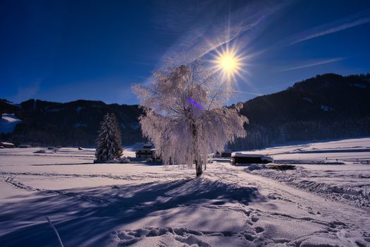A beautiful winter scene with snow-covered landscape and sunlit frosted trees in Weissensee, Austria.