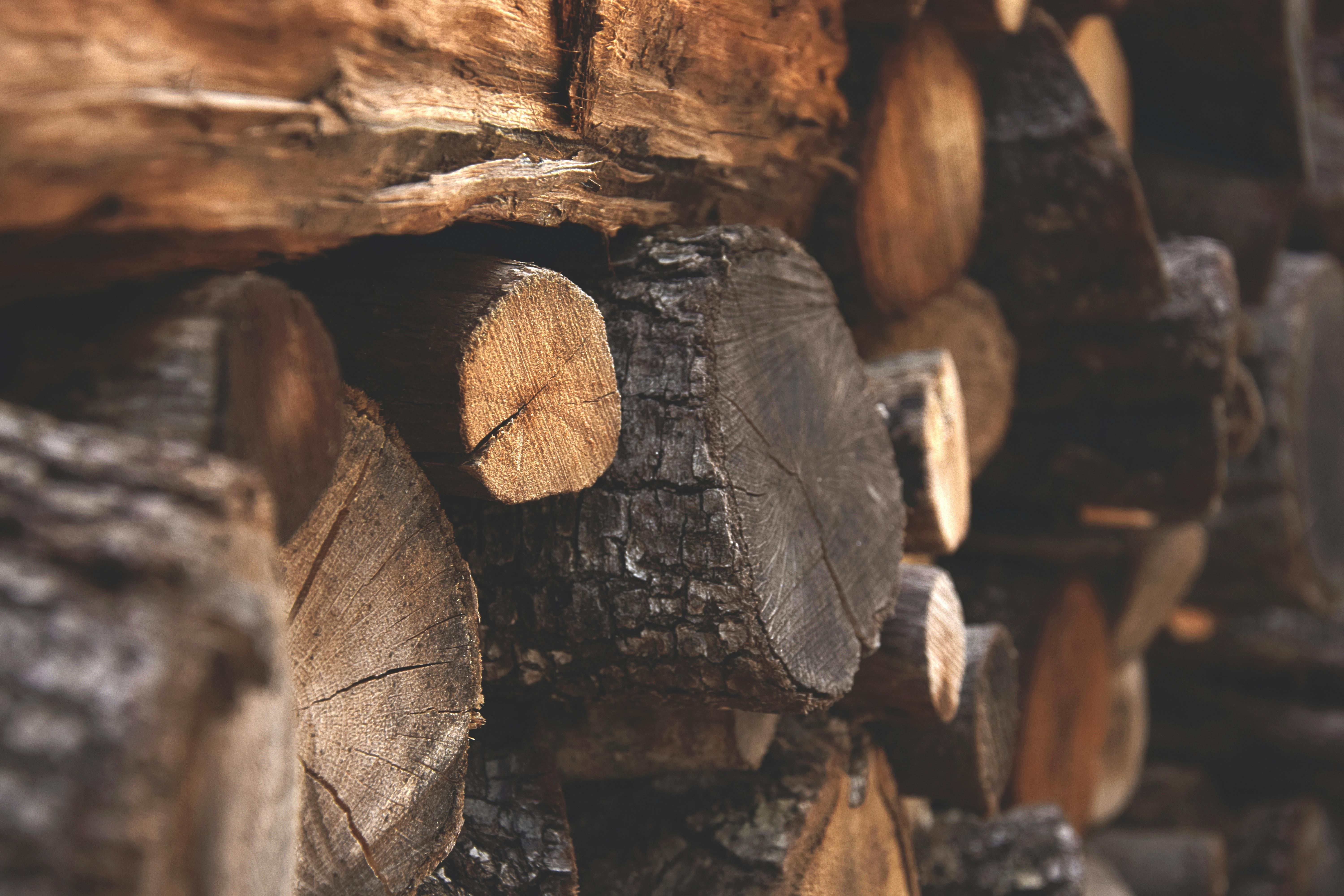 Free firewood Photos & Pictures | FreeImages