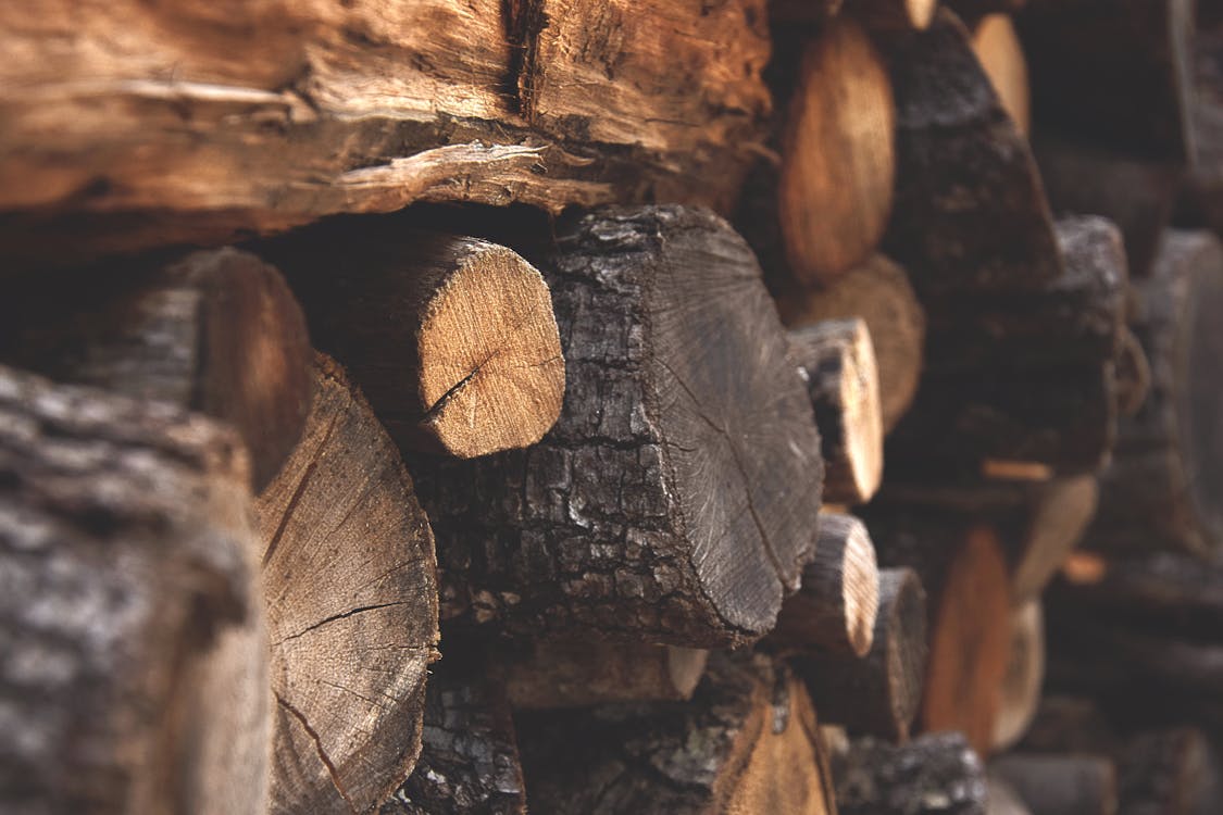 Free Brown Firewood Stock Photo