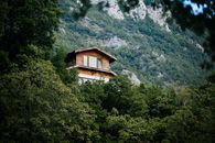 Brown Wooden House on Top of Green Trees