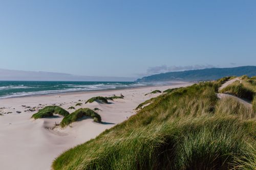 Free Beautiful coastal sand dunes and grassy landscape along the Oregon coast under a clear blue sky. Stock Photo