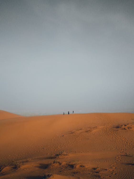People Walking in Desert