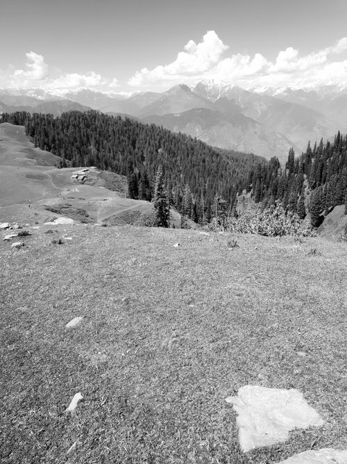 Free Scenic black and white view of a vast mountain range with trees and clouds Stock Photo