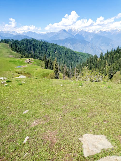 A Green Grass Field with Green Trees Near the Mountain Under the Blue Sky