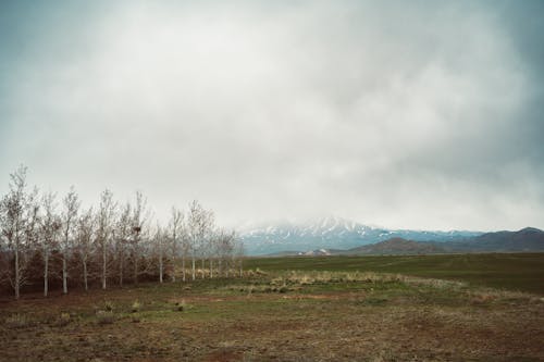 Mountain Obscured by Cloud